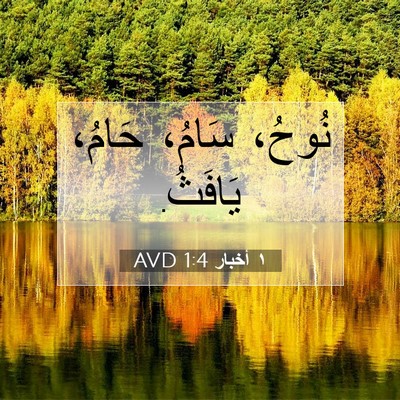 Picture 07 - ١ أخبار 1:4 AVD - نُوحُ، سَامُ، حَامُ، - Bible Verse Picture