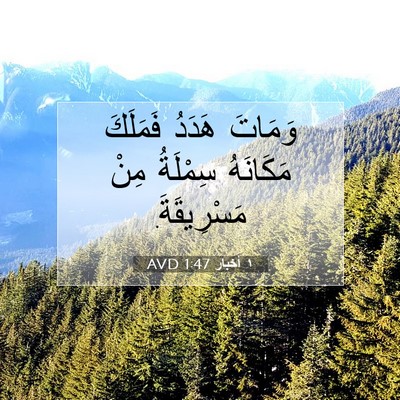 Picture 07 - ١ أخبار 1:47 AVD - وَمَاتَ هَدَدُ فَمَلَكَ - Bible Verse Picture