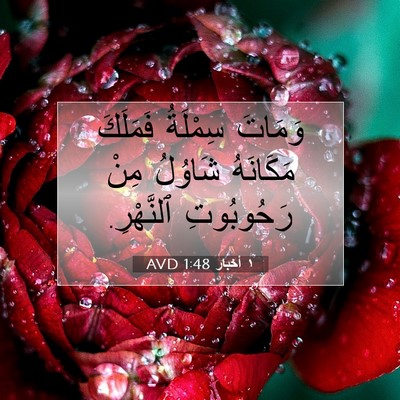 Picture 07 - ١ أخبار 1:48 AVD - وَمَاتَ سِمْلَةُ فَمَلَكَ - Bible Verse Picture