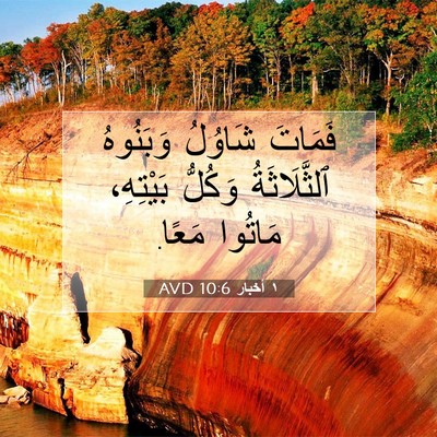 Picture 07 - ١ أخبار 10:6 AVD - فَمَاتَ شَاوُلُ وَبَنُوهُ - Bible Verse Picture