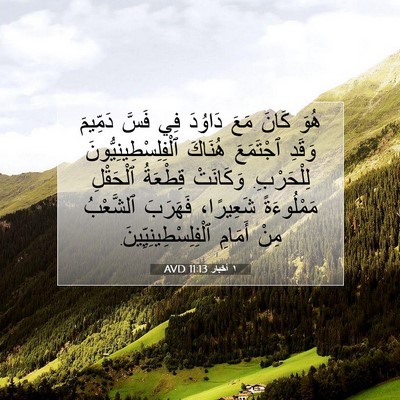 Picture 07 - ١ أخبار 11:13 AVD - هُوَ كَانَ مَعَ دَاوُدَ - Bible Verse Picture