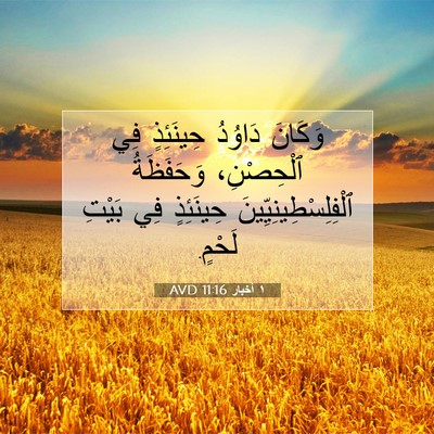 Picture 07 - ١ أخبار 11:16 AVD - وَكَانَ دَاوُدُ حِينَئِذٍ - Bible Verse Picture