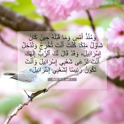 Picture 07 - ١ أخبار 11:2 AVD - وَمُنْذُ أَمْسِ وَمَا - Bible Verse Picture