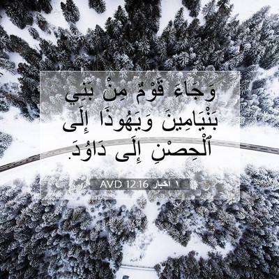 Picture 07 - ١ أخبار 12:16 AVD - وَجَاءَ قَوْمٌ مِنْ بَنِي - Bible Verse Picture
