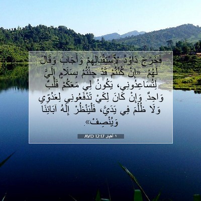 Picture 07 - ١ أخبار 12:17 AVD - فَخَرَجَ دَاوُدُ - Bible Verse Picture
