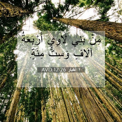 Picture 07 - ١ أخبار 12:26 AVD - مِنْ بَنِي لَاوِي - Bible Verse Picture