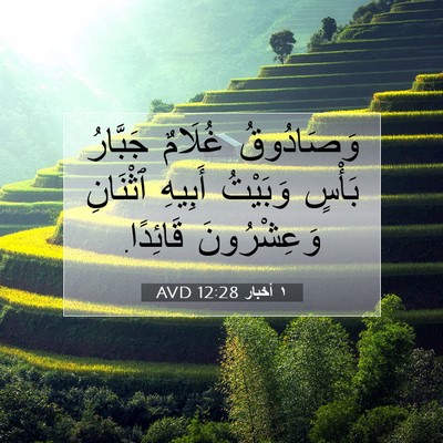 Picture 07 - ١ أخبار 12:28 AVD - وَصَادُوقُ غُلَامٌ - Bible Verse Picture