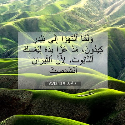 Picture 07 - ١ أخبار 13:9 AVD - وَلَمَّا ٱنْتَهَوْا إِلَى - Bible Verse Picture
