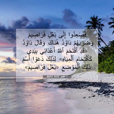 Picture 07 - ١ أخبار 14:11 AVD - فَصَعِدُوا إِلَى بَعْلِ - Bible Verse Picture