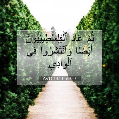 Picture 07 - ١ أخبار 14:13 AVD - ثُمَّ عَادَ - Bible Verse Picture