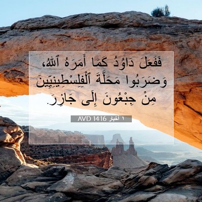 Picture 07 - ١ أخبار 14:16 AVD - فَفَعَلَ دَاوُدُ كَمَا - Bible Verse Picture