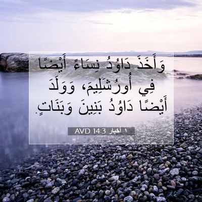 Picture 07 - ١ أخبار 14:3 AVD - وَأَخَذَ دَاوُدُ نِسَاءً - Bible Verse Picture