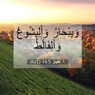 Picture 07 - ١ أخبار 14:5 AVD - وَيِبْحَارُ وَأَلِيشُوعُ - Bible Verse Picture