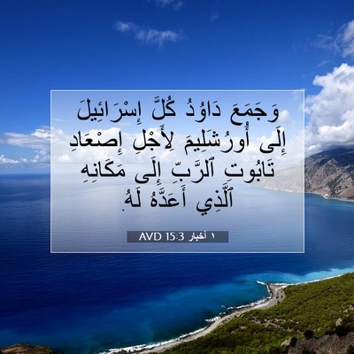 Picture 07 - ١ أخبار 15:3 AVD - وَجَمَعَ دَاوُدُ كُلَّ - Bible Verse Picture