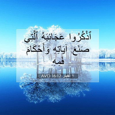 Picture 07 - ١ أخبار 16:12 AVD - ٱذْكُرُوا عَجَائِبَهُ - Bible Verse Picture