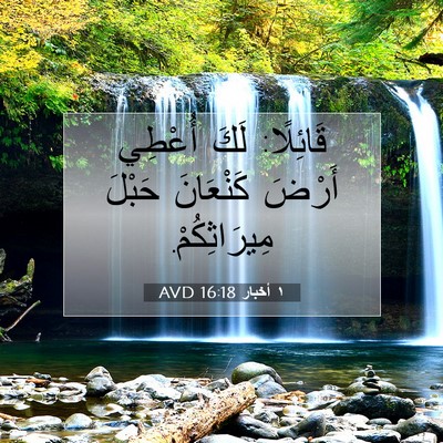 Picture 07 - ١ أخبار 16:18 AVD - قَائِلًا: لَكَ أُعْطِي - Bible Verse Picture