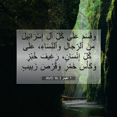 Picture 07 - ١ أخبار 16:3 AVD - وَقَسَمَ عَلَى كُلِّ آلِ - Bible Verse Picture