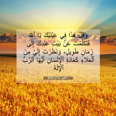 Picture 07 - ١ أخبار 17:17 AVD - وَقَلَّ هَذَا فِي - Bible Verse Picture