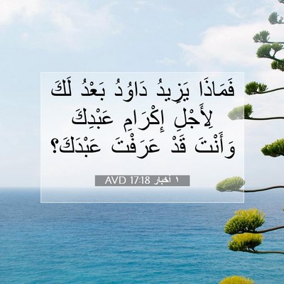 Picture 07 - ١ أخبار 17:18 AVD - فَمَاذَا يَزِيدُ دَاوُدُ - Bible Verse Picture
