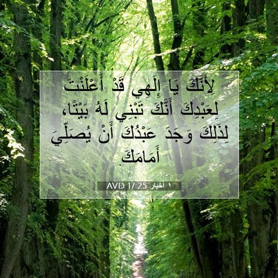 Picture 07 - ١ أخبار 17:25 AVD - لِأَنَّكَ يَا إِلَهِي قَدْ - Bible Verse Picture