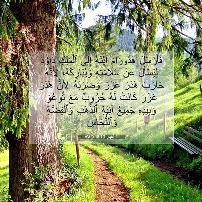 Picture 07 - ١ أخبار 18:10 AVD - فَأَرْسَلَ هَدُورَامَ - Bible Verse Picture