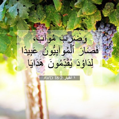 Picture 07 - ١ أخبار 18:2 AVD - وَضَرَبَ مُوآبَ، فَصَارَ - Bible Verse Picture