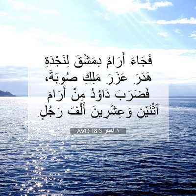 Picture 07 - ١ أخبار 18:5 AVD - فَجَاءَ أَرَامُ دِمَشْقَ - Bible Verse Picture
