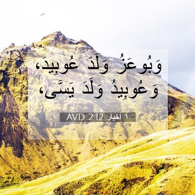 Picture 07 - ١ أخبار 2:12 AVD - وَبُوعَزُ وَلَدَ - Bible Verse Picture