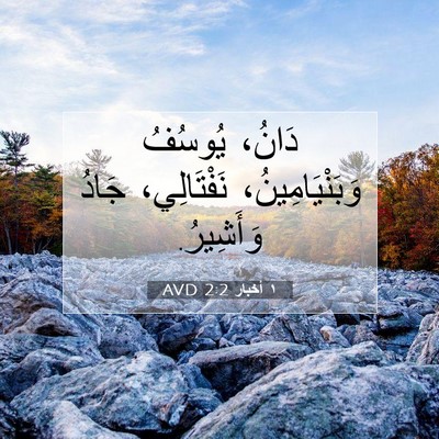 Picture 07 - ١ أخبار 2:2 AVD - دَانُ، يُوسُفُ - Bible Verse Picture