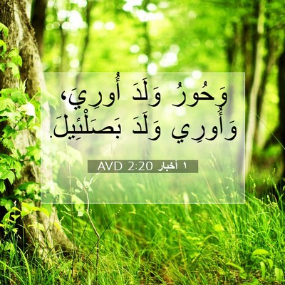 Picture 07 - ١ أخبار 2:20 AVD - وَحُورُ وَلَدَ أُورِيَ، - Bible Verse Picture