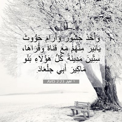 Picture 07 - ١ أخبار 2:23 AVD - وَأَخَذَ جَشُورَ - Bible Verse Picture