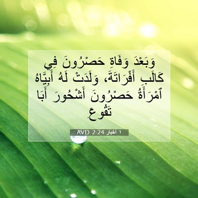 Picture 07 - ١ أخبار 2:24 AVD - وَبَعْدَ وَفَاةِ - Bible Verse Picture