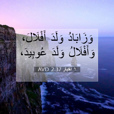 Picture 07 - ١ أخبار 2:37 AVD - وَزَابَادُ وَلَدَ - Bible Verse Picture