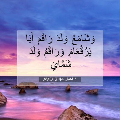 Picture 07 - ١ أخبار 2:44 AVD - وَشَامَعُ وَلَدَ رَاقَمَ - Bible Verse Picture