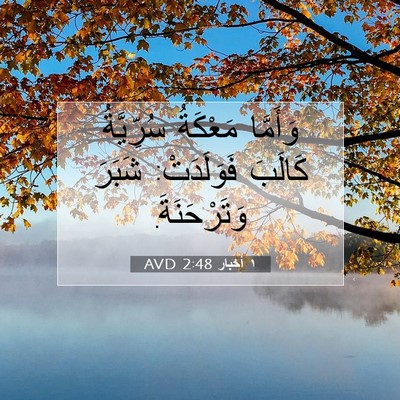 Picture 07 - ١ أخبار 2:48 AVD - وَأَمَّا مَعْكَةُ - Bible Verse Picture