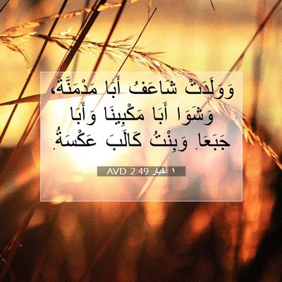 Picture 07 - ١ أخبار 2:49 AVD - وَوَلَدَتْ شَاعَفُ أَبَا - Bible Verse Picture