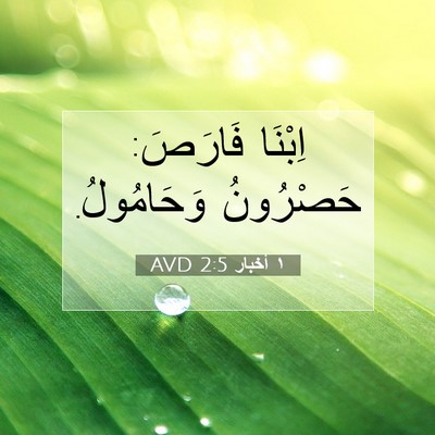 Picture 07 - ١ أخبار 2:5 AVD - اِبْنَا فَارَصَ: حَصْرُونُ - Bible Verse Picture