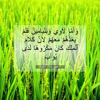 Picture 07 - ١ أخبار 21:6 AVD - وَأَمَّا لَاوِي - Bible Verse Picture