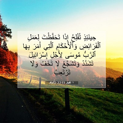 Picture 07 - ١ أخبار 22:13 AVD - حِينَئِذٍ تُفْلِحُ إِذَا - Bible Verse Picture