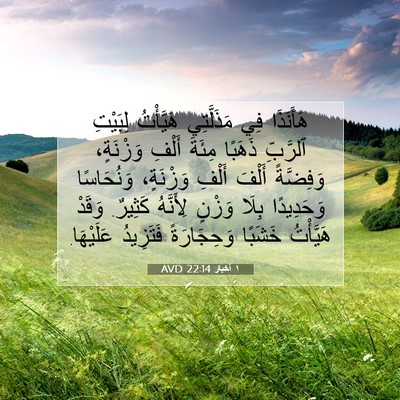 Picture 07 - ١ أخبار 22:14 AVD - هَأَنَذَا فِي مَذَلَّتِي - Bible Verse Picture