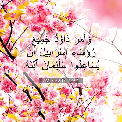 Picture 07 - ١ أخبار 22:17 AVD - وَأَمَرَ دَاوُدُ جَمِيعَ - Bible Verse Picture