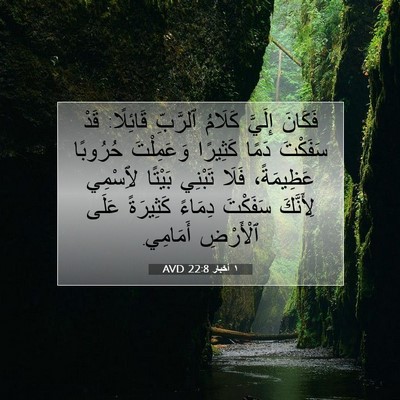 Picture 07 - ١ أخبار 22:8 AVD - فَكَانَ إِلَيَّ كَلَامُ - Bible Verse Picture