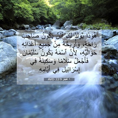Picture 07 - ١ أخبار 22:9 AVD - هُوَذَا يُولَدُ لَكَ ٱبْنٌ - Bible Verse Picture