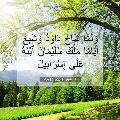 Picture 07 - ١ أخبار 23:1 AVD - وَلَمَّا شَاخَ دَاوُدُ - Bible Verse Picture