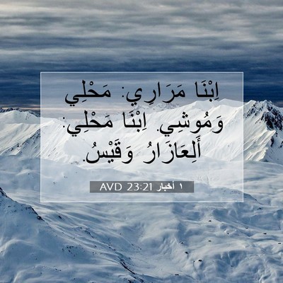 Picture 07 - ١ أخبار 23:21 AVD - اِبْنَا مَرَارِي: مَحْلِي - Bible Verse Picture