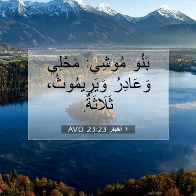 Picture 07 - ١ أخبار 23:23 AVD - بَنُو مُوشِي: مَحْلِي - Bible Verse Picture