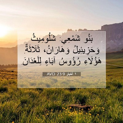Picture 07 - ١ أخبار 23:9 AVD - بَنُو شَمْعِي: شَلُومِيثُ - Bible Verse Picture