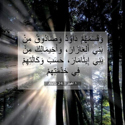 Picture 07 - ١ أخبار 24:3 AVD - وَقَسَمَهُمْ دَاوُدُ - Bible Verse Picture