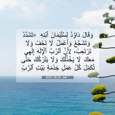 Picture 07 - ١ أخبار 28:20 AVD - وَقَالَ دَاوُدُ - Bible Verse Picture