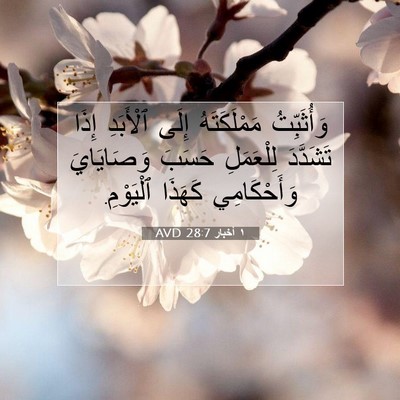 Picture 07 - ١ أخبار 28:7 AVD - وَأُثَبِّتُ مَمْلَكَتَهُ - Bible Verse Picture